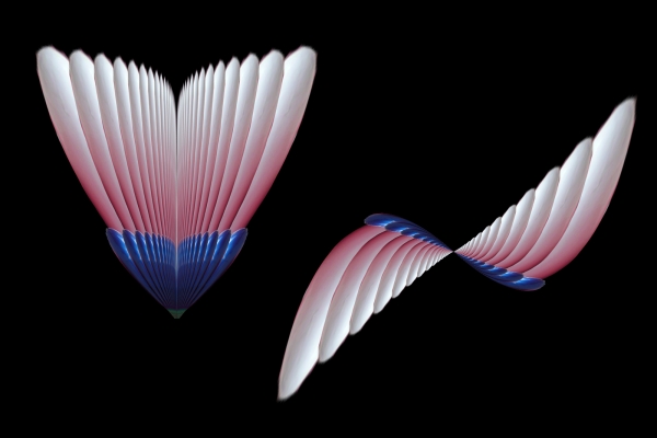 Creation of Light transformations....: Step 4